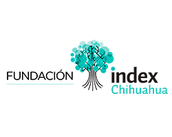 FUNDACION_INDEX FUNDACION_INDEX