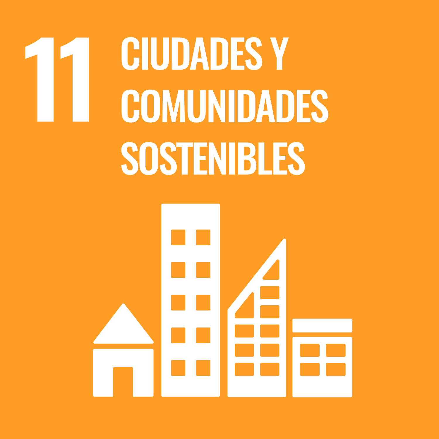 ejes-11 ejes-11