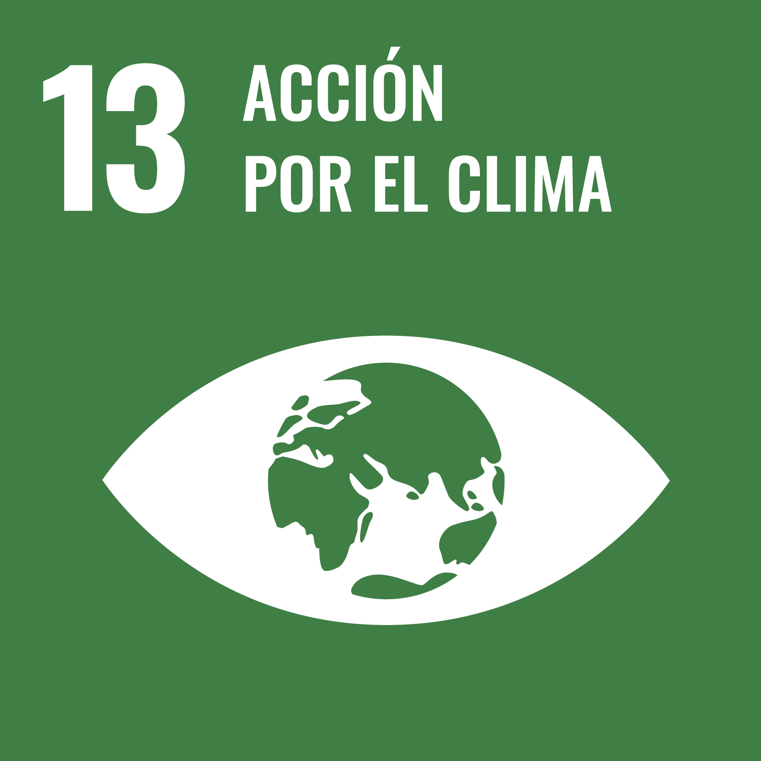 ejes-13 ejes-13