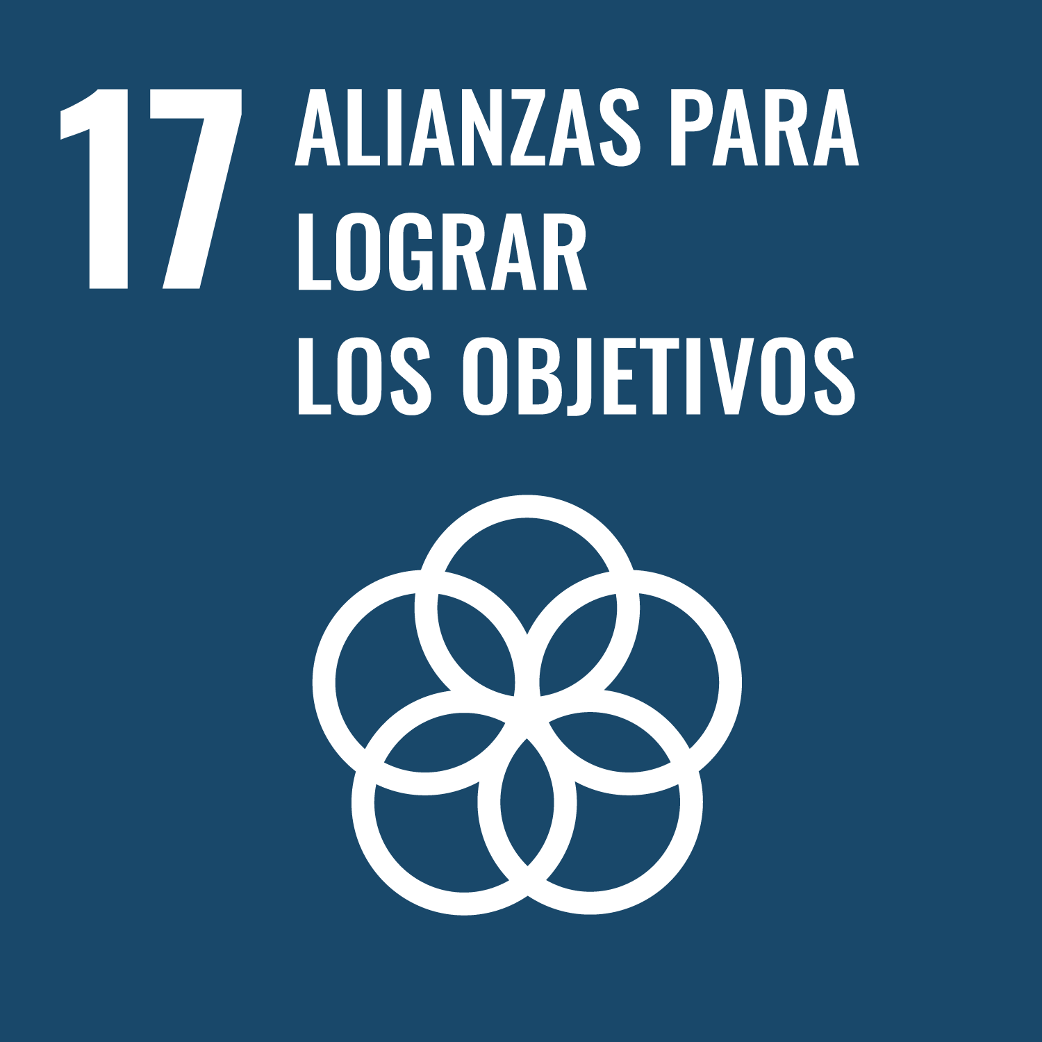 ejes-17 ejes-17