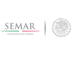 semar semar